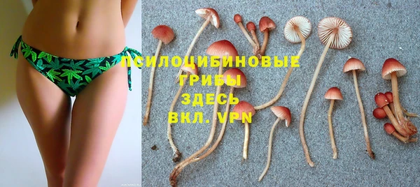 мет Абаза