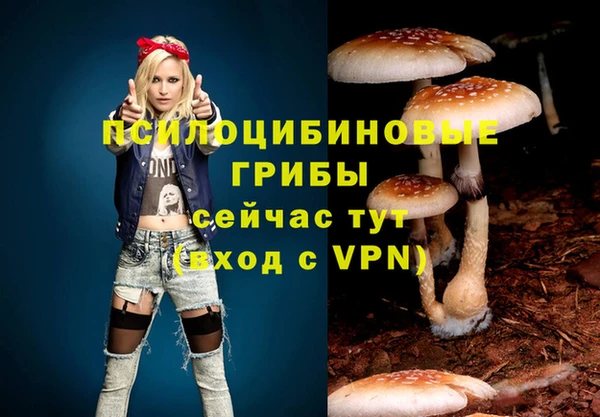 мет Абаза