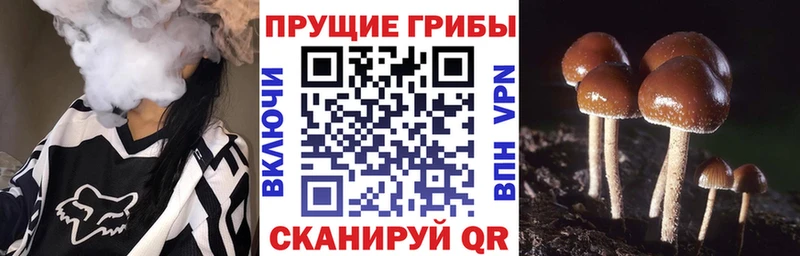 Галлюциногенные грибы Magic Shrooms  Тырныауз 
