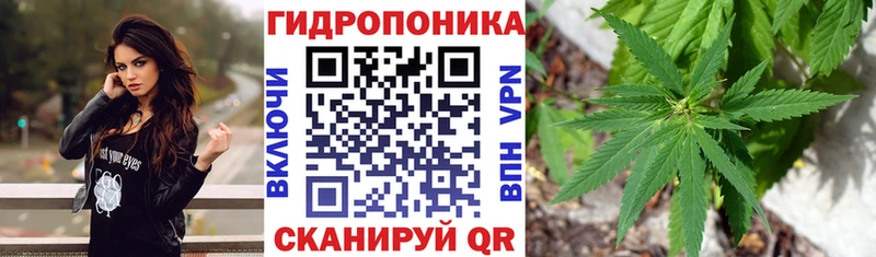 это состав  купить наркотики сайты  Тырныауз  Бошки Шишки THC 21% 